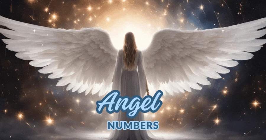 What's Your Angel Number?